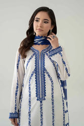 3 Piece Embroidered Lawn Suit | DW-EA25-60